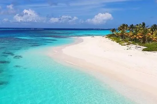 Turquoise Caribbean waters gently lap a curved white-sand beach bordered by palm trees under a blue sky in Anguilla.