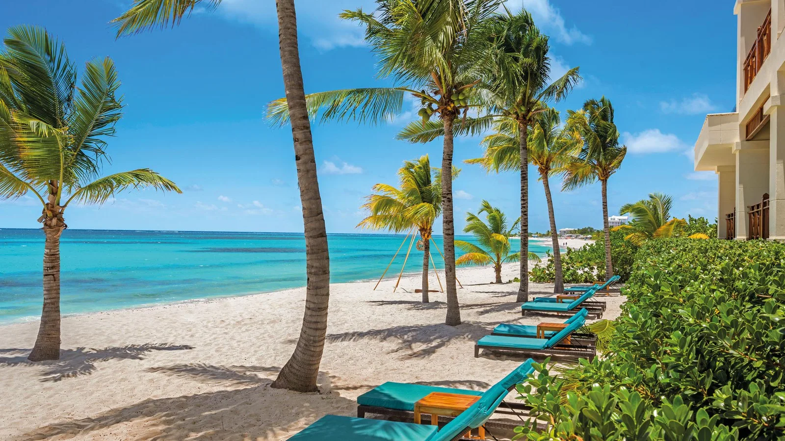Turquoise sun loungers line a white-sand beach beneath tall palm trees along the Caribbean coast in Anguilla.