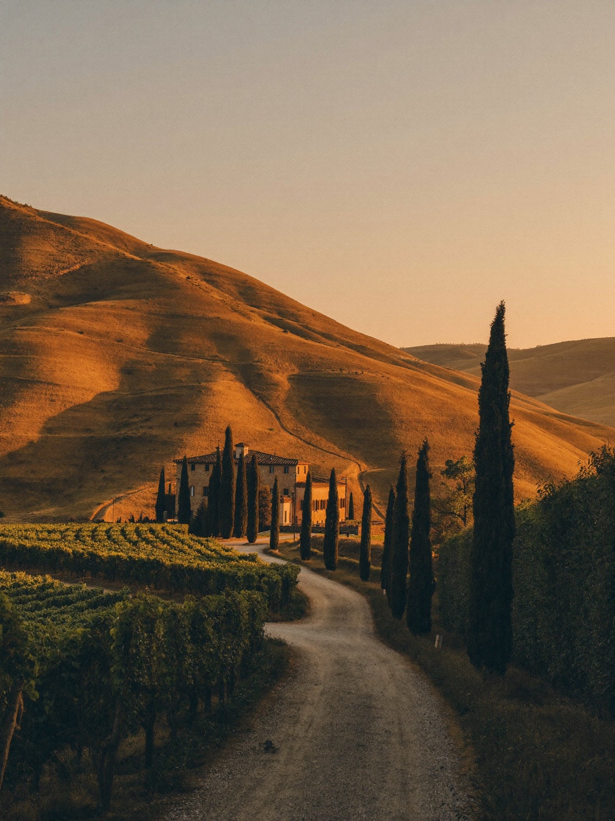 Italy — traveler moments